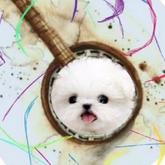 Meet your Posher, Benjamin - Picture 1 of 1